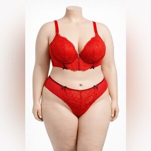 Plus Size Elegant Red Lace Bra and Panty Set 2X